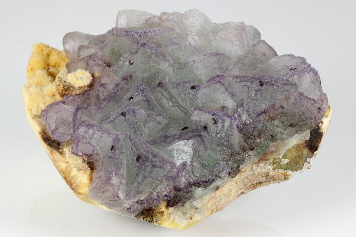 Purple Edge Fluorite Crystal Cluster - Qinglong Mine, China #186893